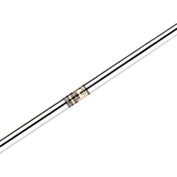 True Temper Dynamic Gold SL Taper Iron Shaft-0