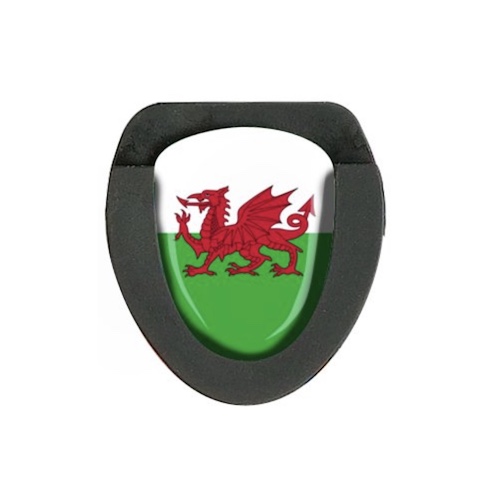 Nation Wales Putter Grip-1