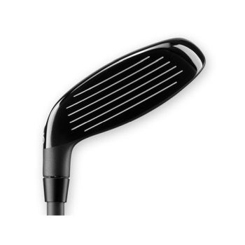 PXG hybrid 0317-2
