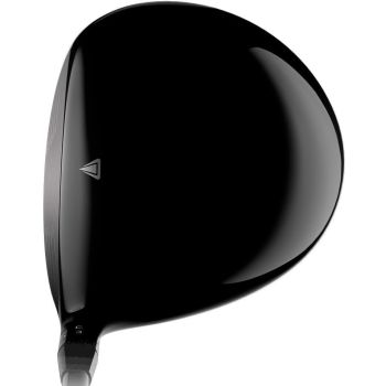 Titleist driver TS1-1