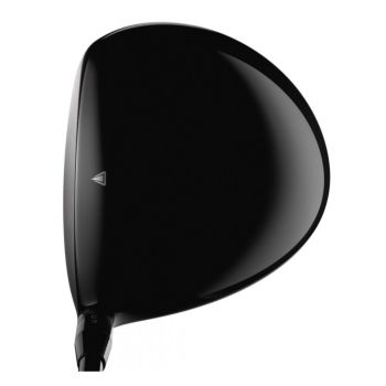 Titleist driver TS2-2