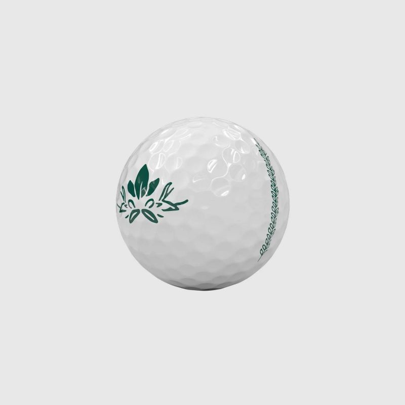 Vice Golf PRO PLUS Balls-9