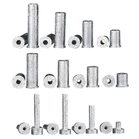 Plug-Weights - Závaží do shaftu - 6 ks